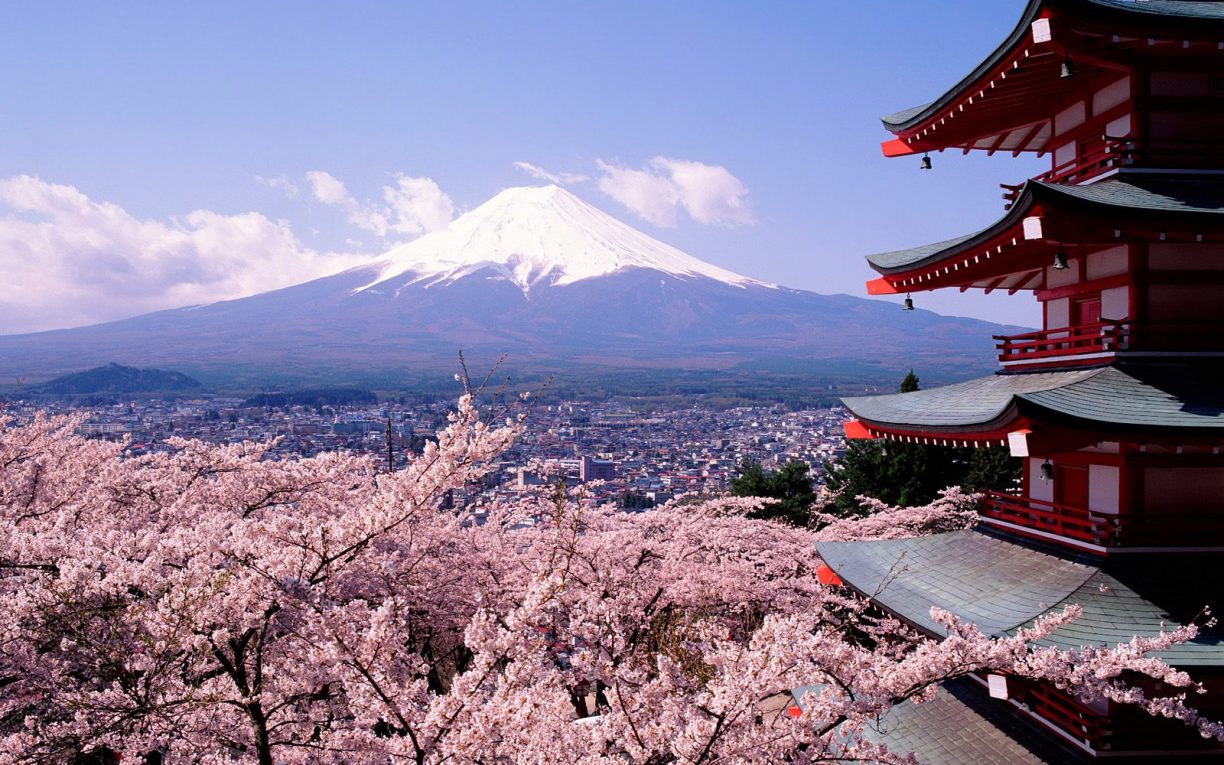 Cherry Blossom Mount Fuji Japan