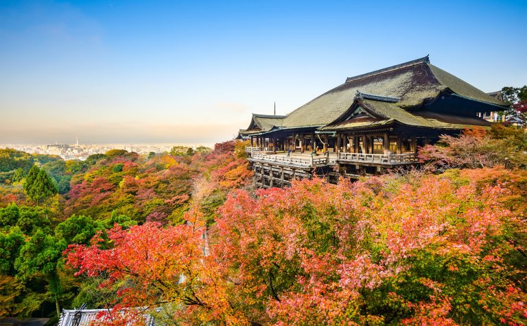 Kiyomizu Temples autumn trees kyoto japan