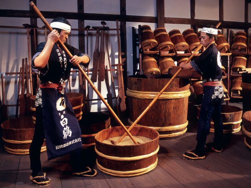 Kobe sightseeing Tour sake Brewery Japan
