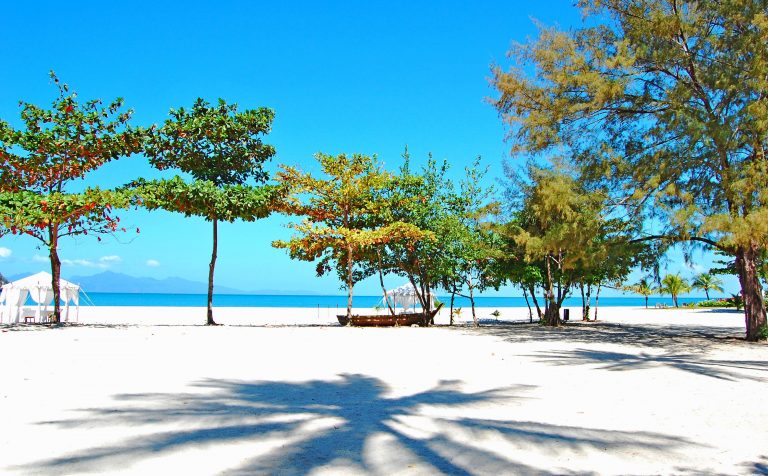 beach trees Langkawi malaysia