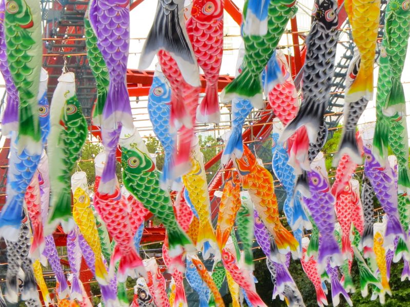 festival flags colourful fish japan