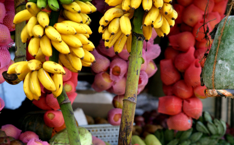 Fruit and vegetable M Sri Lanka