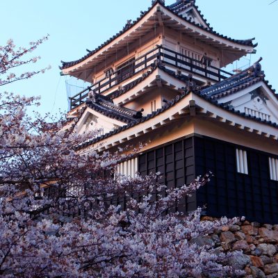 blossom hamamatsu castle japan