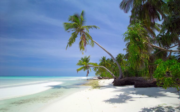 beach maldives
