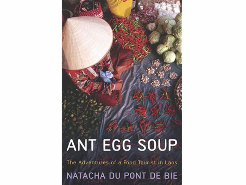 ant egg soup Natacha Du Pont De Bie