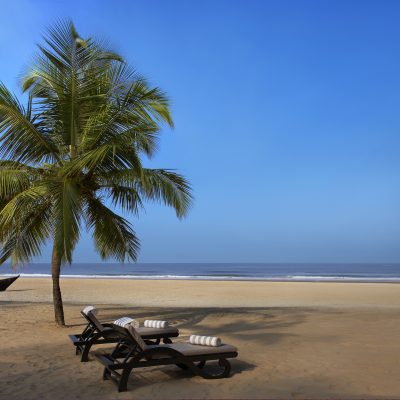 boat palm tree sunbed beach goa india